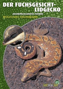 Der Fuchsgesicht-Lidgecko (eBook, ePUB) - Grossmann, Wolfgang