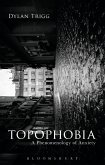 Topophobia (eBook, ePUB)