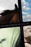 Mechanics of Falling and Other Stories (eBook, ePUB)