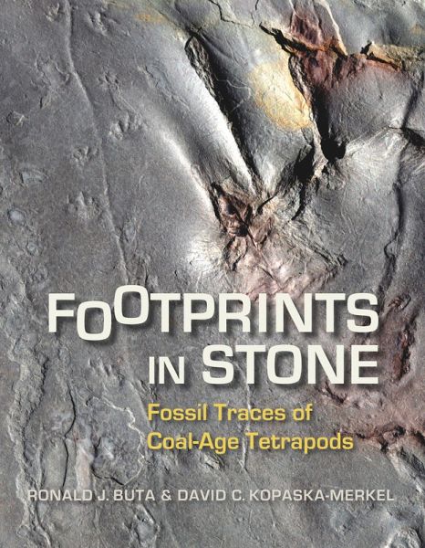 Footprints in Stone (eBook, ePUB)