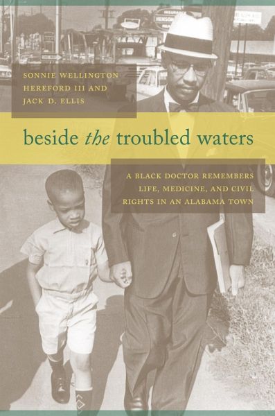 Beside the Troubled Waters (eBook, ePUB) Beside the Troubled Waters (eBook, ePUB)
