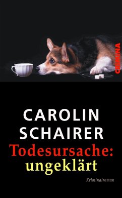 Todesursache: ungeklärt (eBook, ePUB) - Schairer, Carolin
