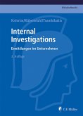 Internal Investigations (eBook, ePUB)