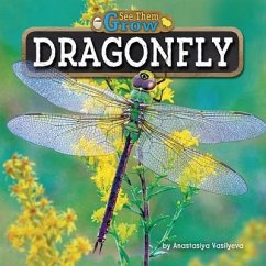 Dragonfly - Vasilyeva, Anastasiya