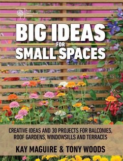 Big Ideas for Small Spaces - Maguire, Kay; Woods, Tony