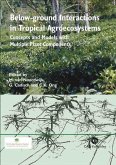 Below-Ground Interactions in Tropical Agroecosystems