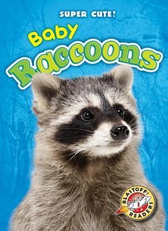 Baby Raccoons - Borgert-Spaniol, Megan