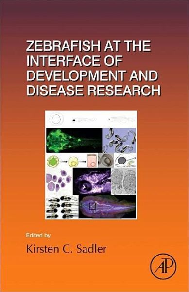 Zebrafish at the Interface of Development and Disease Research Zebrafish at the Interface of Development and Disease Research