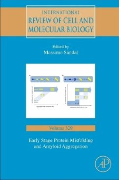 Cover Early Stage Protein Misfolding and Amyloid Aggregation