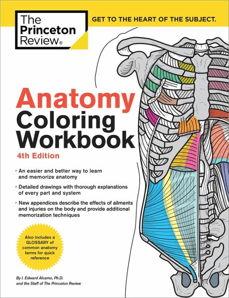 Anatomy Coloring Workbook 4th Edition Von The Princeton Review Edward Alcamo Fachbuch Bucher De