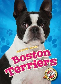 Boston Terriers - Leaf, Christina