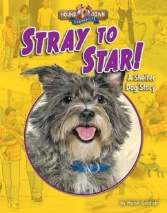 Stray to Star!: A Shelter Dog Story - Goldish, Meish