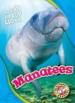 Manatees - Pettiford, Rebecca