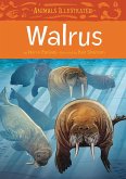 Animals Illustrated: Walrus