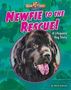 Newfie to the Rescue!: A Lifeguard Dog Story - Goldish, Meish