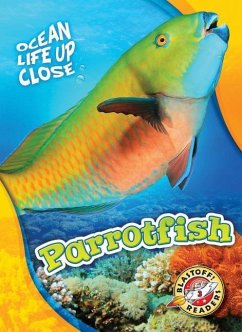 Parrotfish - Schuh, Mari C