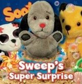 Sweep's Super Surprise Sweep's Super Surprise