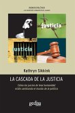 La cascada de la justicia (eBook, PDF)