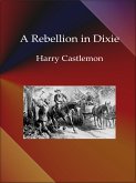 A Rebellion in Dixie (eBook, ePUB)