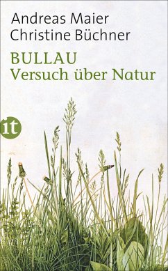 Bullau - Maier, Andreas;Büchner, Christine