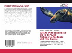 ARNts Mitocondriales de la Tortuga Cabezona Anidante del Mar Caribe