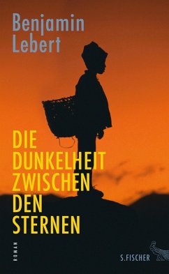 Die Dunkelheit zwischen den Sternen (eBook, ePUB) - Lebert, Benjamin