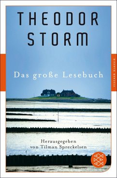 Das große Lesebuch (eBook, ePUB) - Storm, Theodor