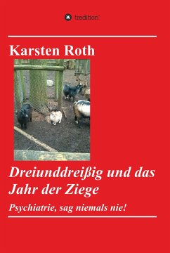 Dreiunddreißig und das Jahr der Ziege (eBook, ePUB) - Roth, Karsten