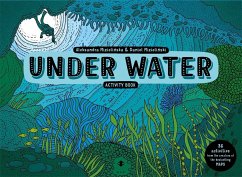 Under Water Activity Book - Mizielinski, Aleksandra and Daniel