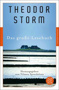 Das große Lesebuch - Storm, Theodor