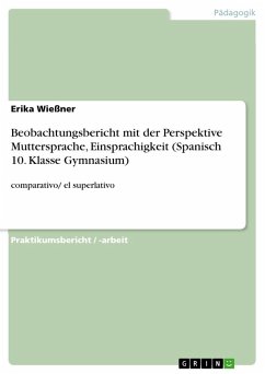 Beobachtungsbericht mit der Perspektive Muttersprache, Einsprachigkeit (Spanisch 10. Klasse Gymnasium) - Wießner, Erika