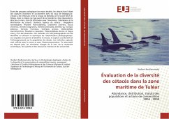 Évaluation de la diversité des cétacés dans la zone maritime de Tuléar - Andrianarivelo, Norbert