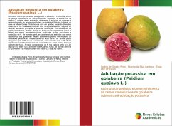Adubação potassica em goiabeira (Psidium guajava L.)
