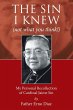 The Sin I Knew (not what you think!) - Bild 1