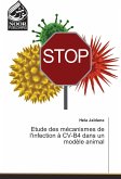 Etude des mécanismes de l'infection à CV-B4 dans un modèle animal