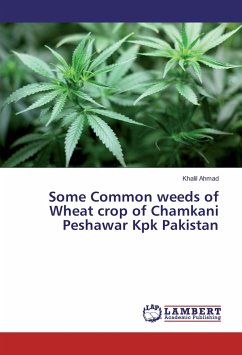 Some Common weeds of Wheat crop of Chamkani Peshawar Kpk Pakistan - Ahmad, Khalil