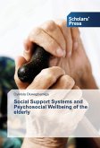 Social Support Systems and Psychosocial Wellbeing of the elderly