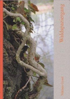 Waldspaziergang - Gysel, Niklaus