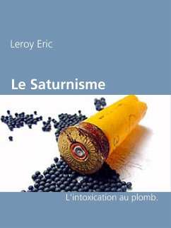 Cover Le Saturnisme (eBook, ePUB)