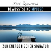 Bewusstseinsimpulse zur energetischen Signatur (MP3-Download)