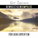 Bewusstseinsimpulse für den Experten (MP3-Download)