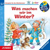 Was machen wir im Winter? / Wieso? Weshalb? Warum? Junior Bd.58 (MP3-Download)