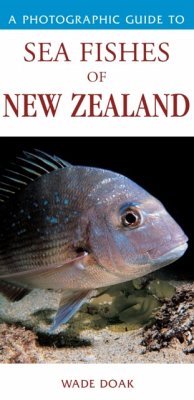 Photographic Guide To Sea Fishes Of New Zealand - Wade, Doak