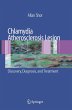 Chlamydia Atherosclerosis Lesion - Bild 1