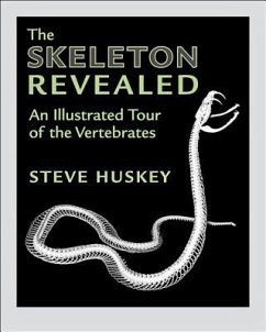 The Skeleton Revealed - Huskey, Steve