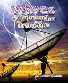 Waves and Information Transfer