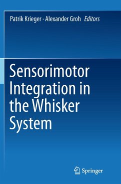 Sensorimotor Integration in the Whisker System