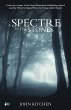 A Spectre in the Stones (eBook, PDF) - Bild 1
