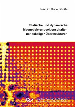 Statische und dynamische Magnetisierungseigenschaften nanoskaliger Überstrukturen - Gräfe, Joachim