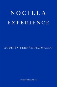 Nocilla Experience (eBook, ePUB) - Fernández Mallo, Agustín